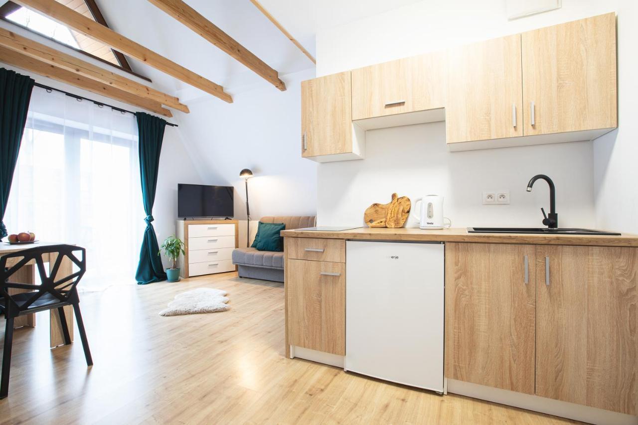 Apartamenty U Nosa 扎科帕内 外观 照片