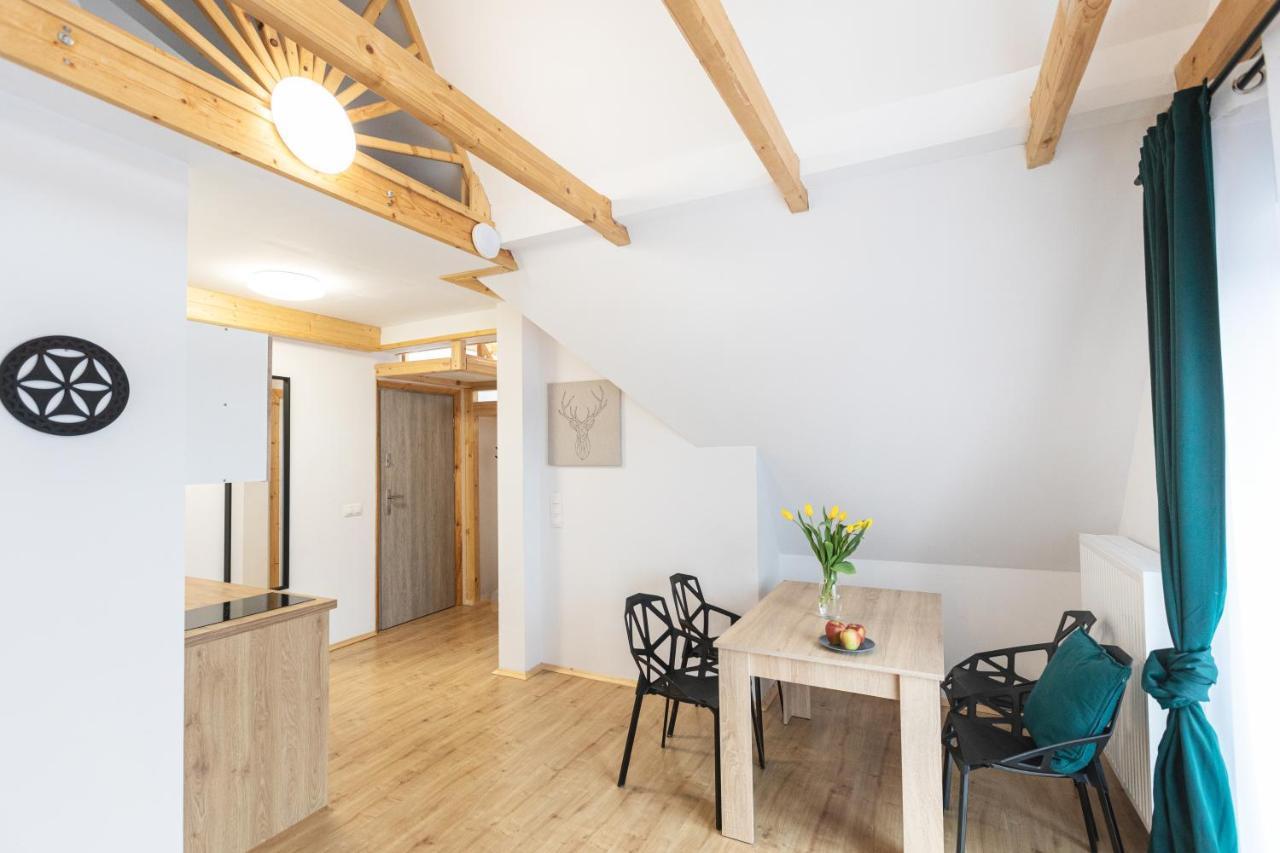 Apartamenty U Nosa 扎科帕内 外观 照片